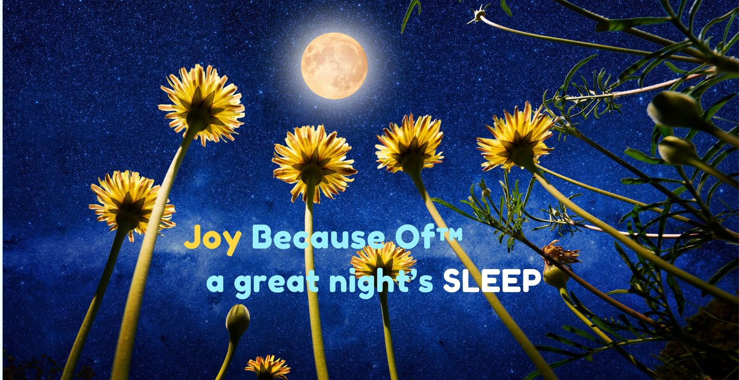 Moonflower – Circadian Rhythm, Inspired Sleep Coffee Mug