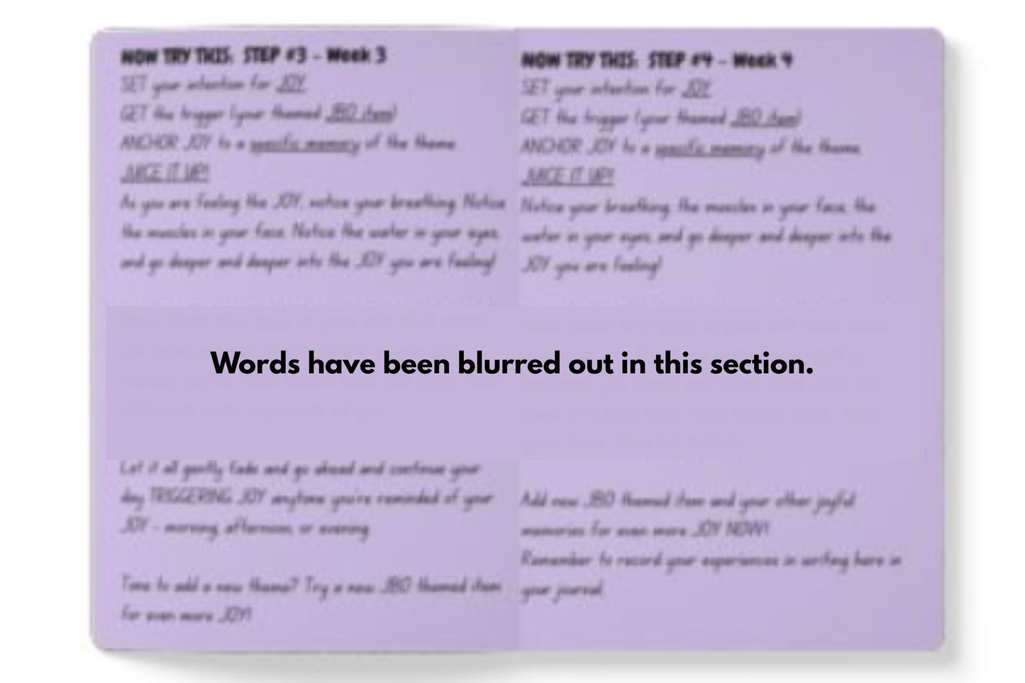 "Enjoy the Joyful Journey!"  A Guidebook / Journal