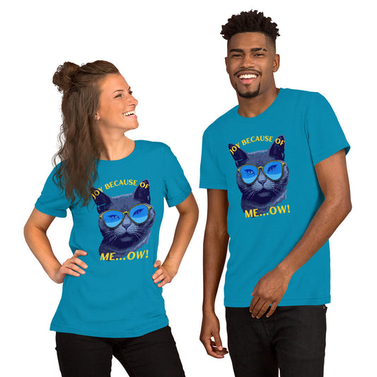 Comfortable Clothing - Cool Cat - Unisex T-Shirt